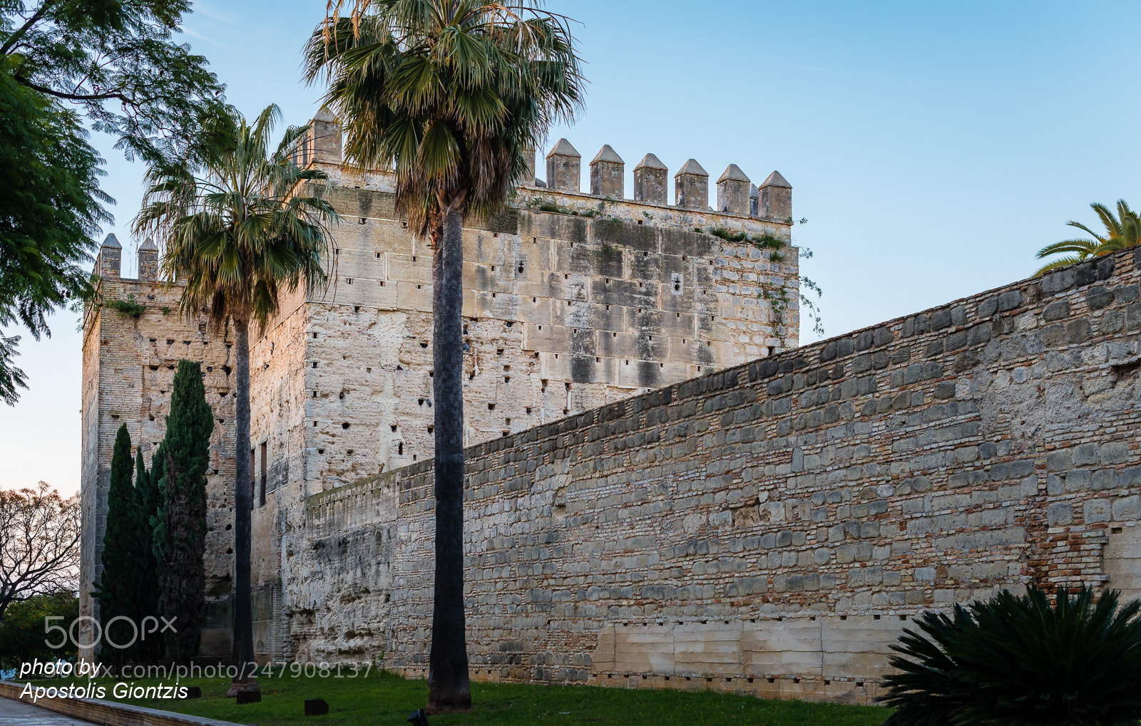 Nikon D800E sample photo. The walls of the photography