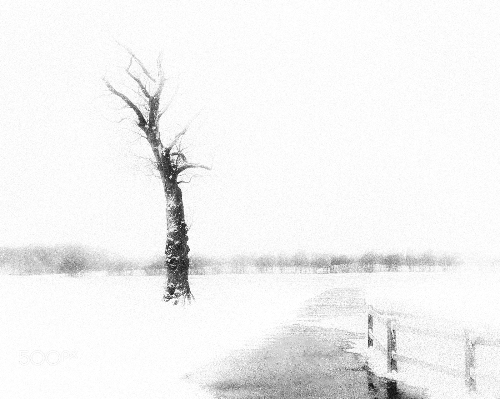 Sony Cyber-shot DSC-RX100 IV sample photo. Snowy path photography