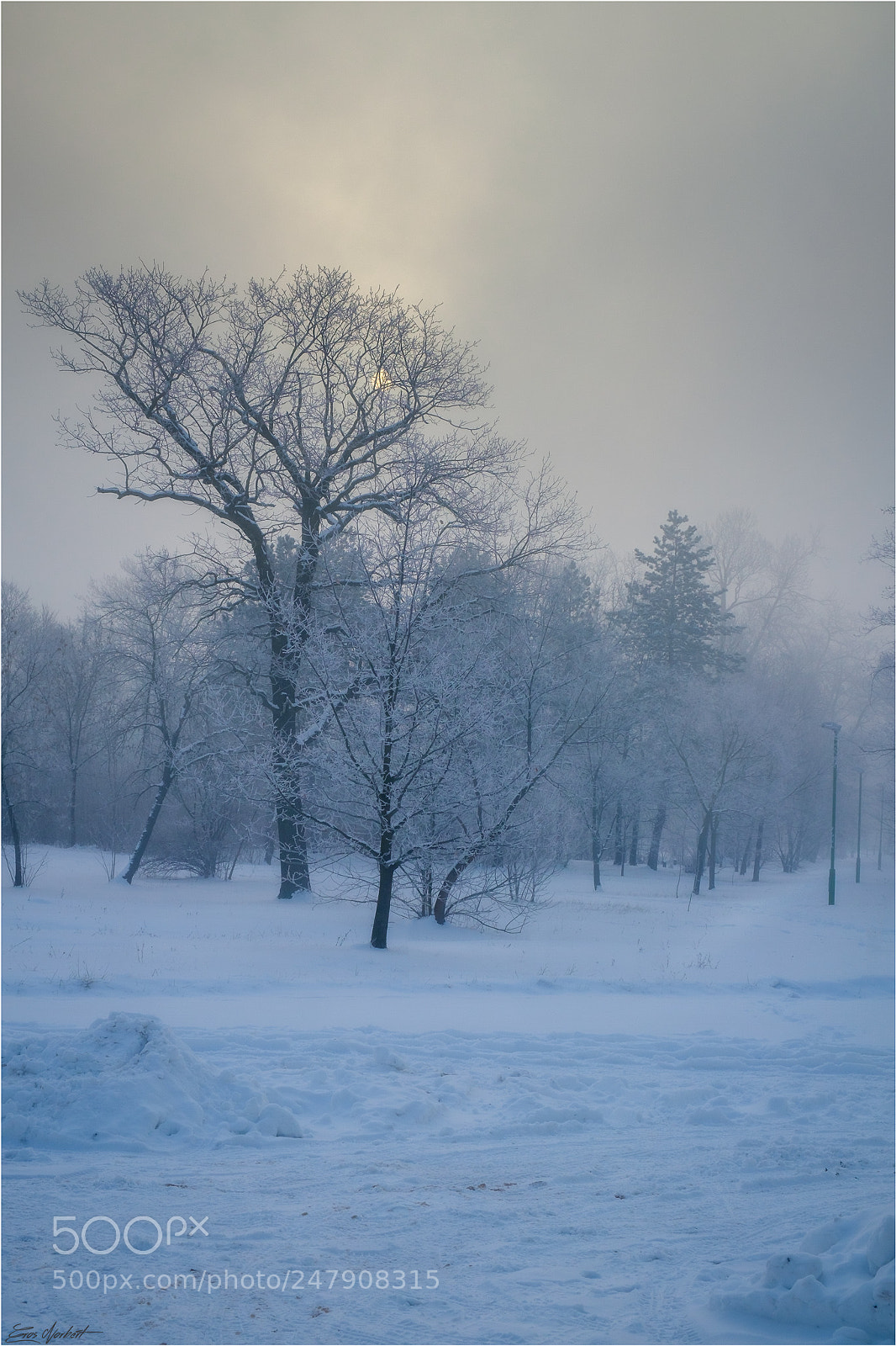 Fujifilm X-T20 sample photo. Winter photography