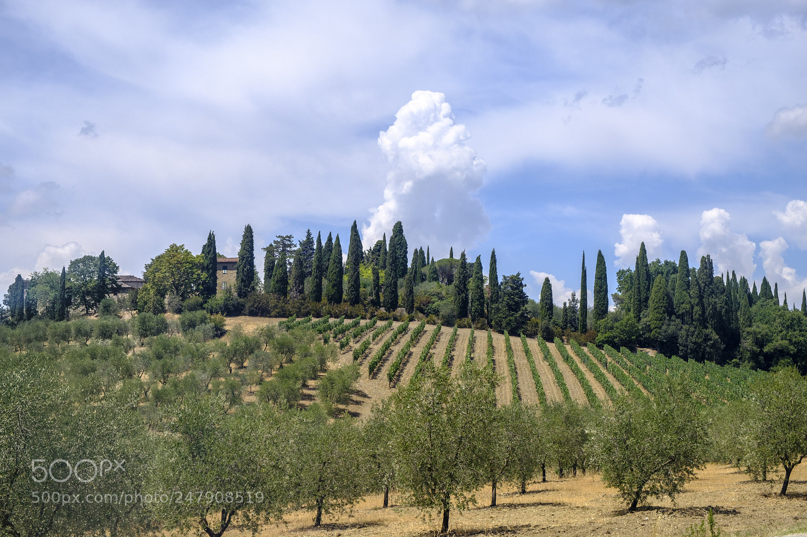 Fujifilm X-T2 sample photo. Summer landscape in the photography