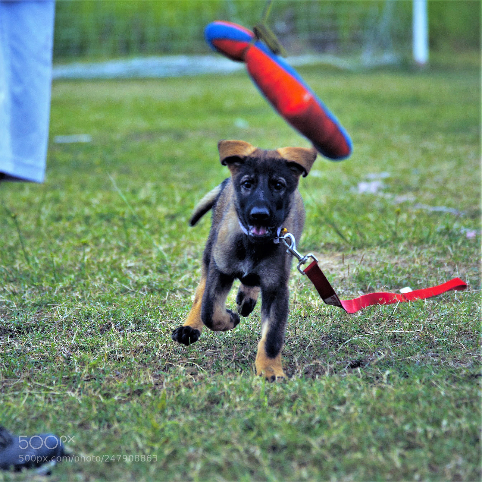 Nikon D700 sample photo. Hey ! baby ! photography
