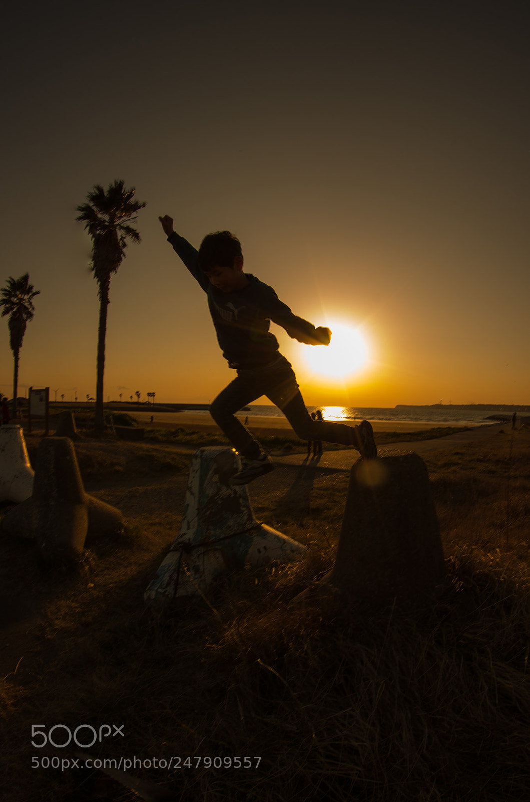 Pentax K-5 IIs sample photo. Jump photography