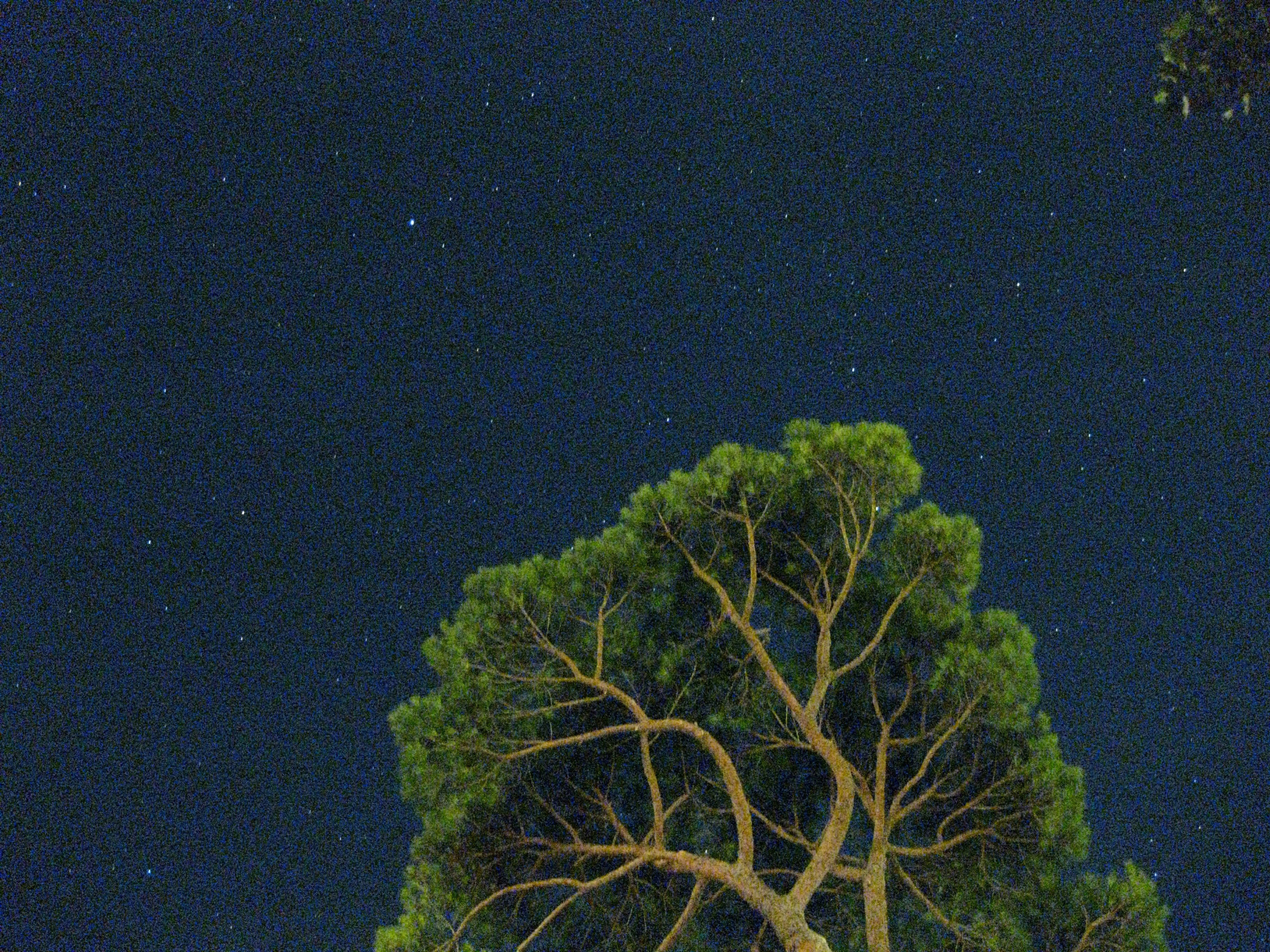 Canon PowerShot SD770 IS (Digital IXUS 85 IS / IXY Digital 25 IS) sample photo. Cielo notturno, night sky photography