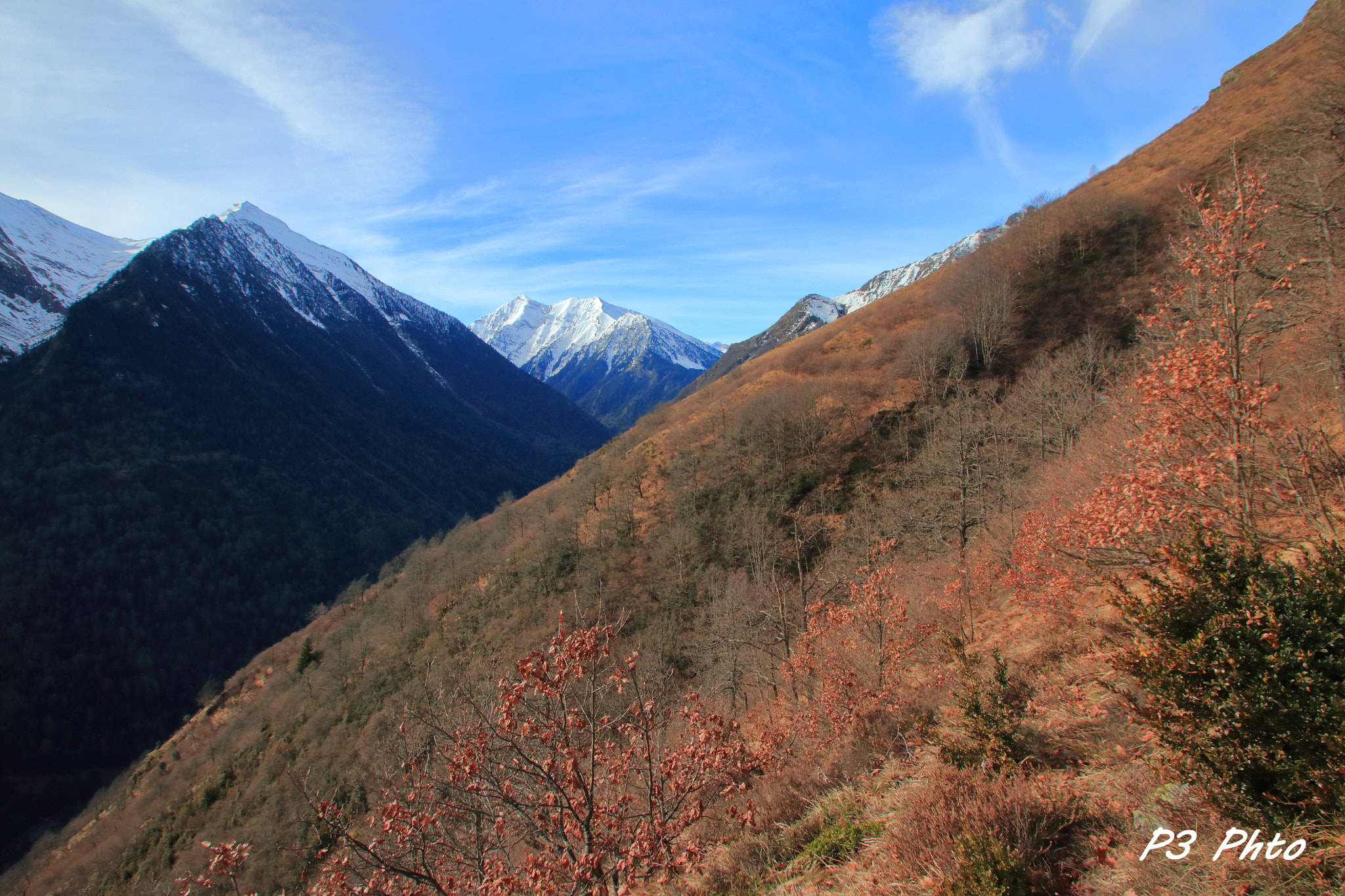 Sigma 10-20mm F3.5 EX DC HSM sample photo. Img photography