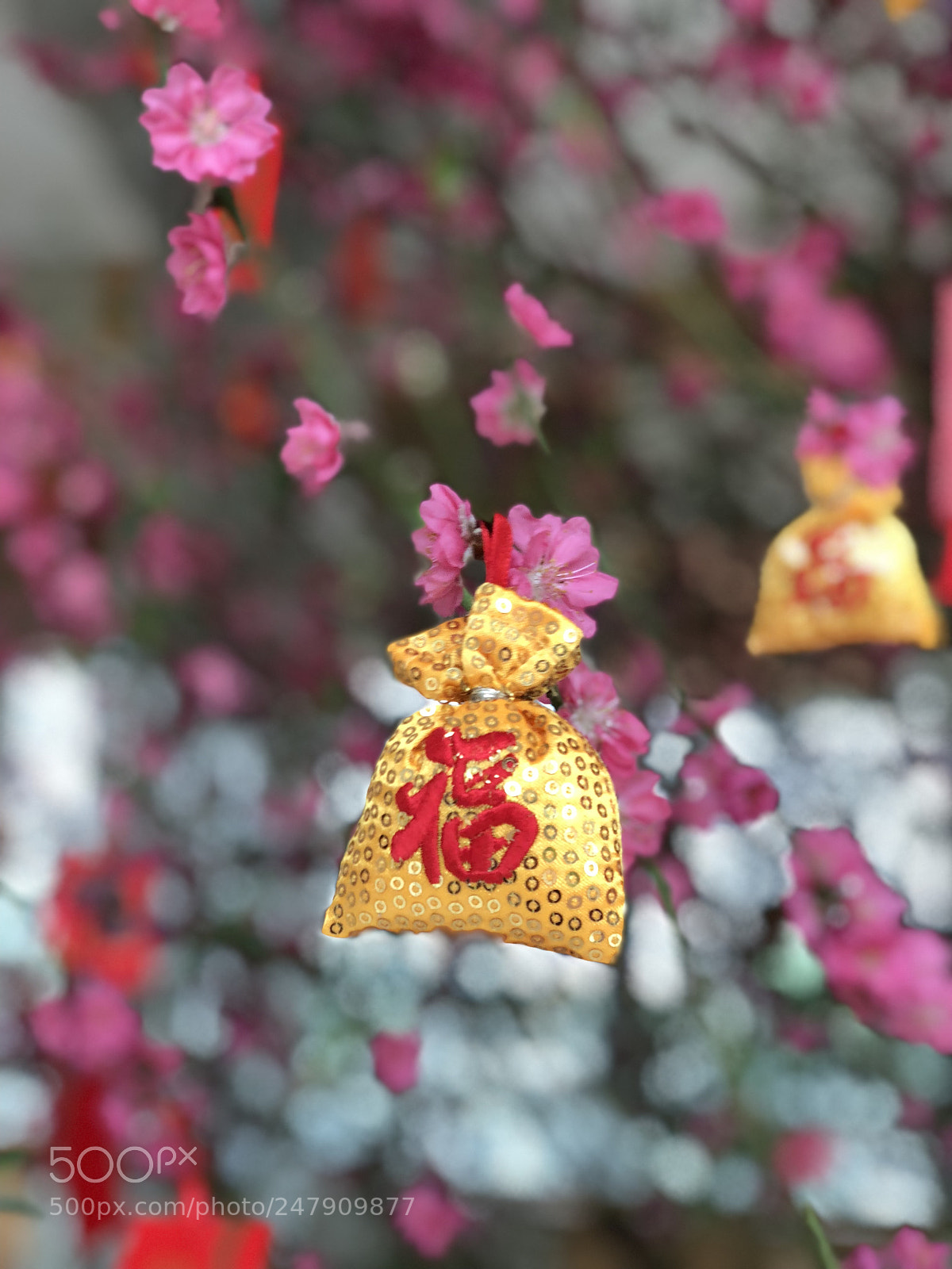 Apple iPhone X sample photo. 正月十五的祝福 photography