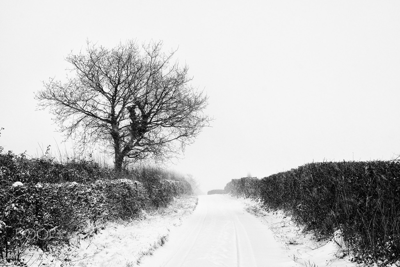 Nikon D800 sample photo. Snowy road photography