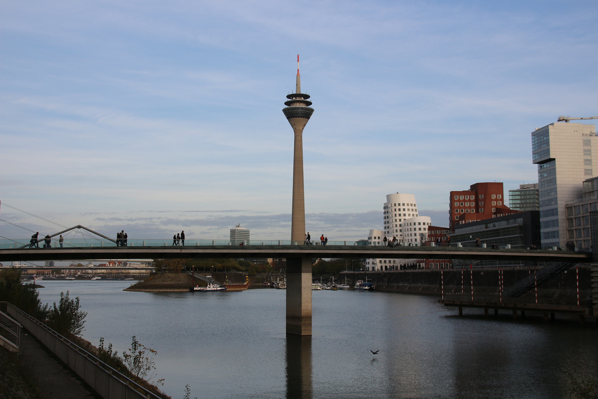 Sigma 18-200mm f/3.5-6.3 DC OS sample photo. Img photography