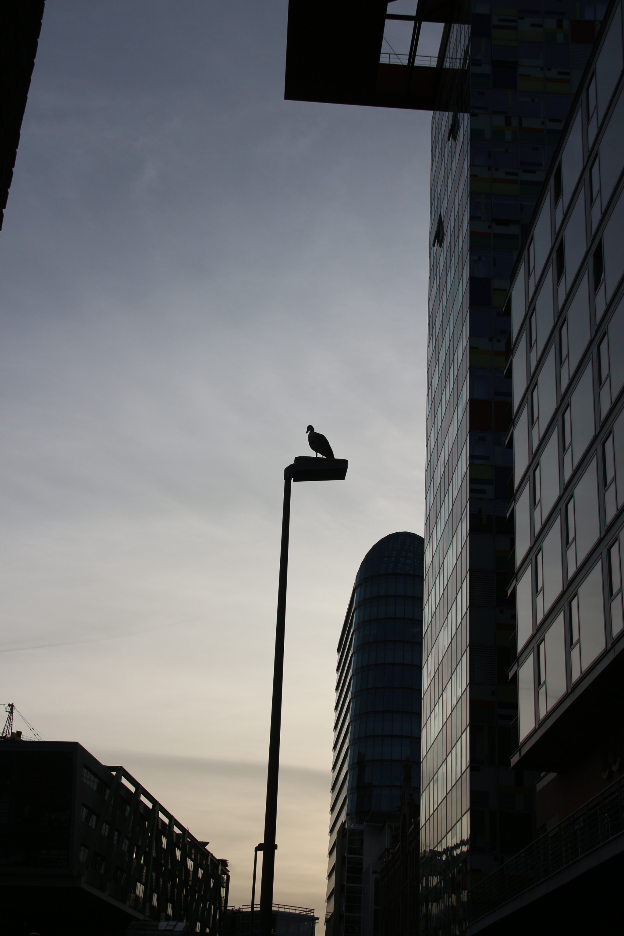 Sigma 18-200mm f/3.5-6.3 DC OS sample photo. Img photography