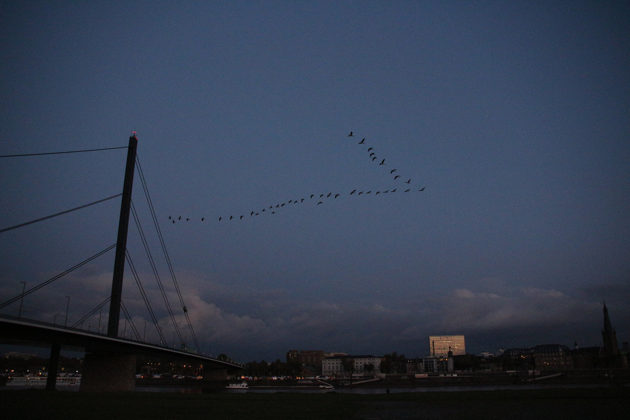 Sigma 18-200mm f/3.5-6.3 DC OS sample photo. Img photography