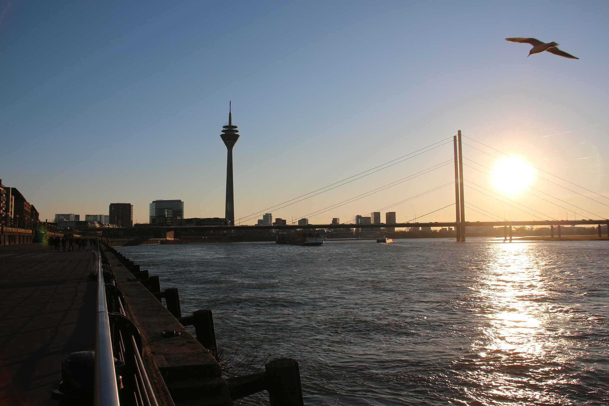 Sigma 18-200mm f/3.5-6.3 DC OS sample photo. Img photography