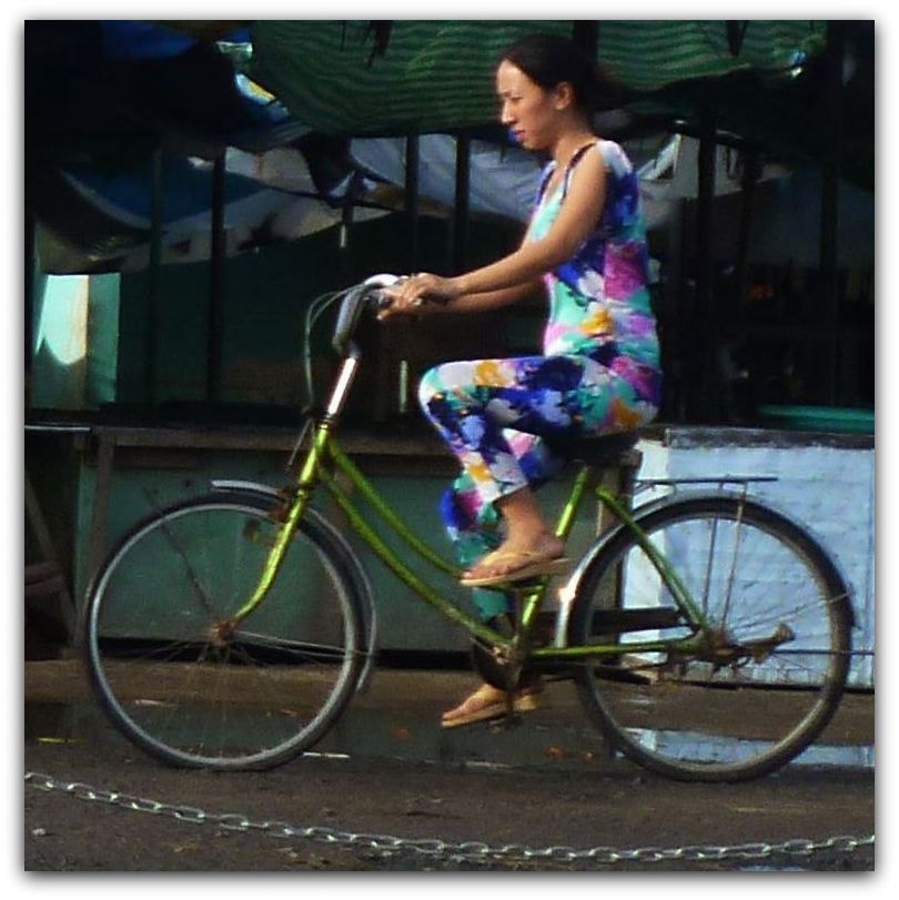 Panasonic DMC-FS40 sample photo. N°001 vietnamese ladies, vietnam photography