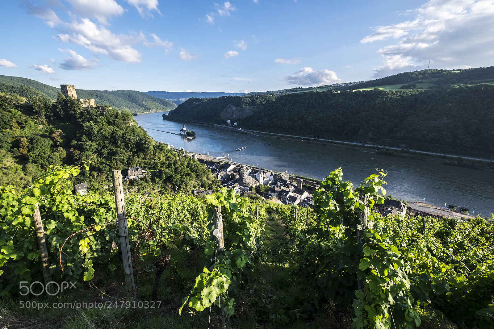 Fujifilm X-T10 sample photo. Gutenfels castle with vineyards photography