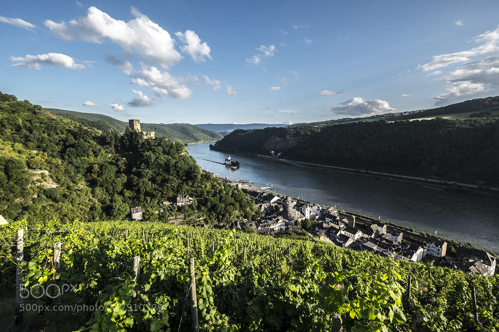 Fujifilm X-T10 sample photo. Gutenfels castle with vineyards photography