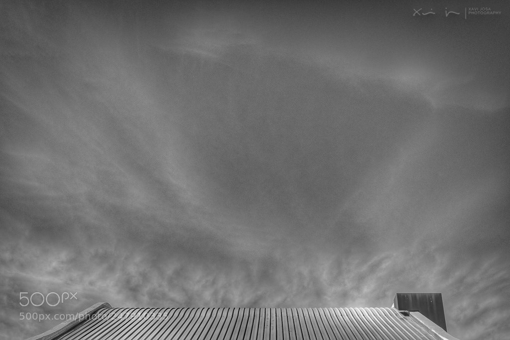 Olympus OM-D E-M1 Mark II sample photo. Cirrus on the roof.. photography
