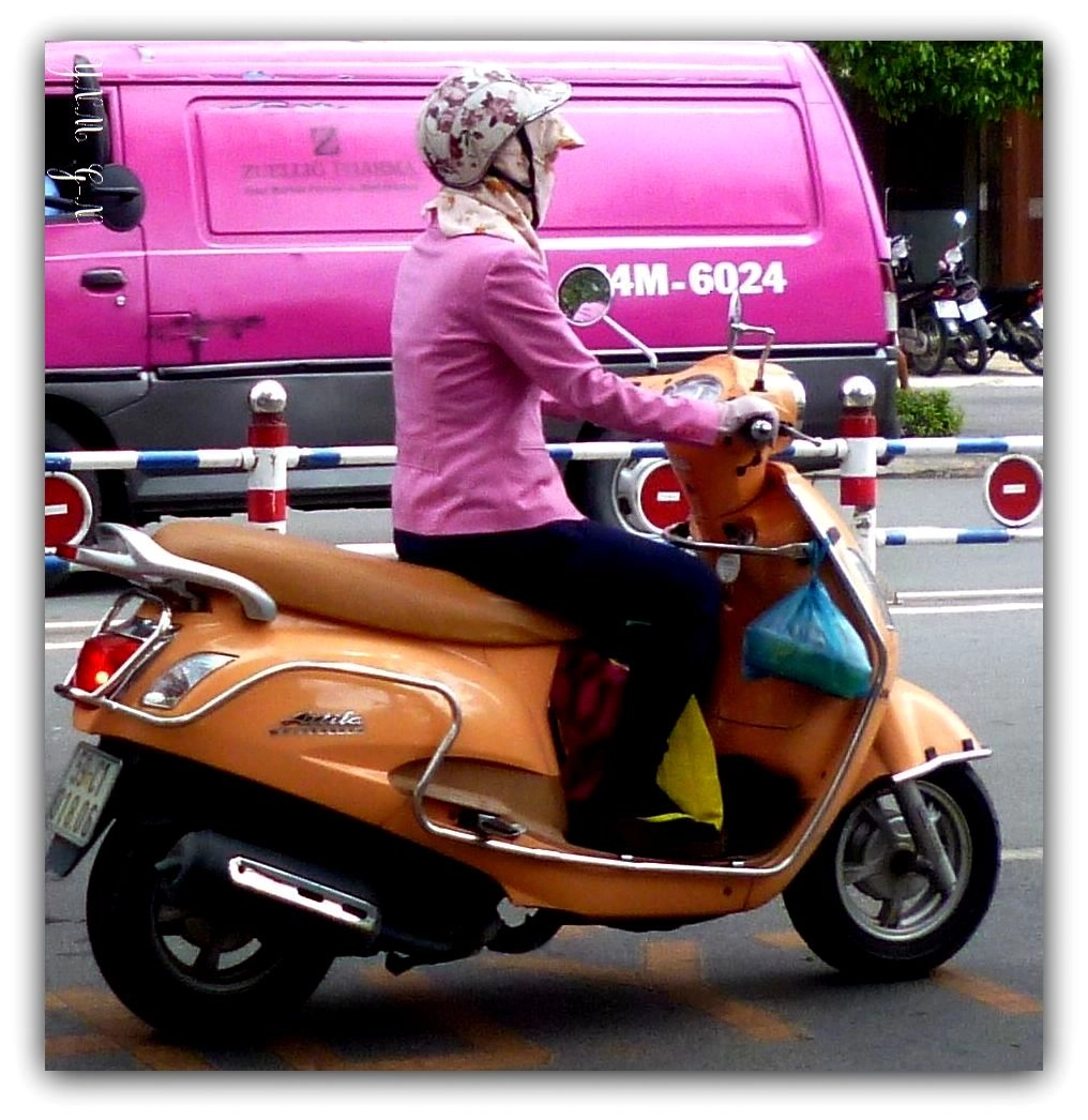 Panasonic DMC-FS40 sample photo. Vn ladies () photography
