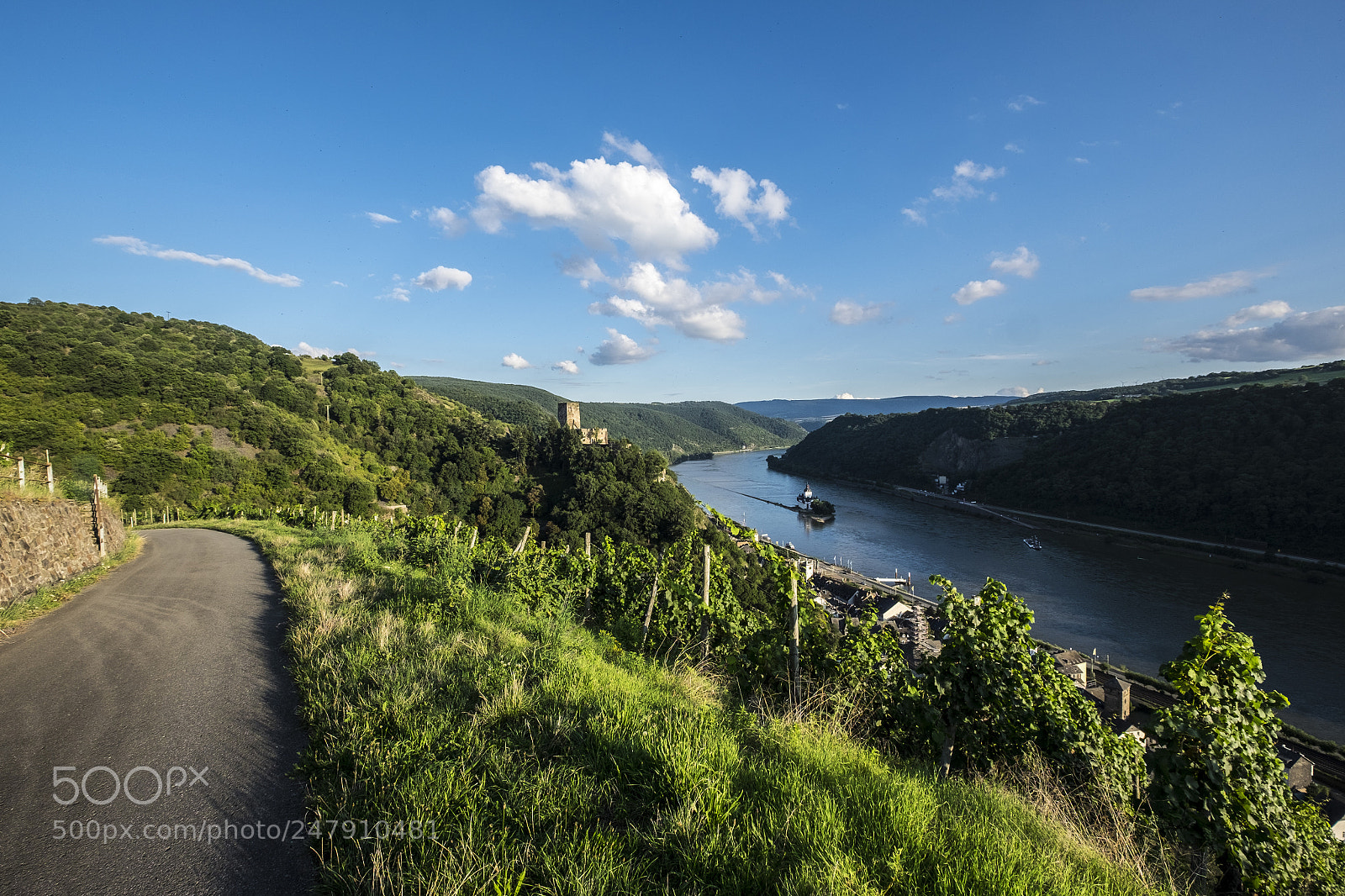 Fujifilm X-T10 sample photo. Gutenfels castle with vineyards photography