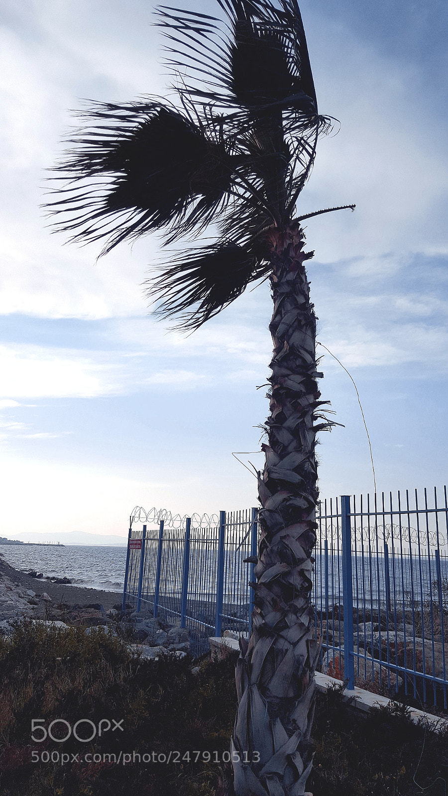 Samsung Galaxy Note5 sample photo. Seaside photography