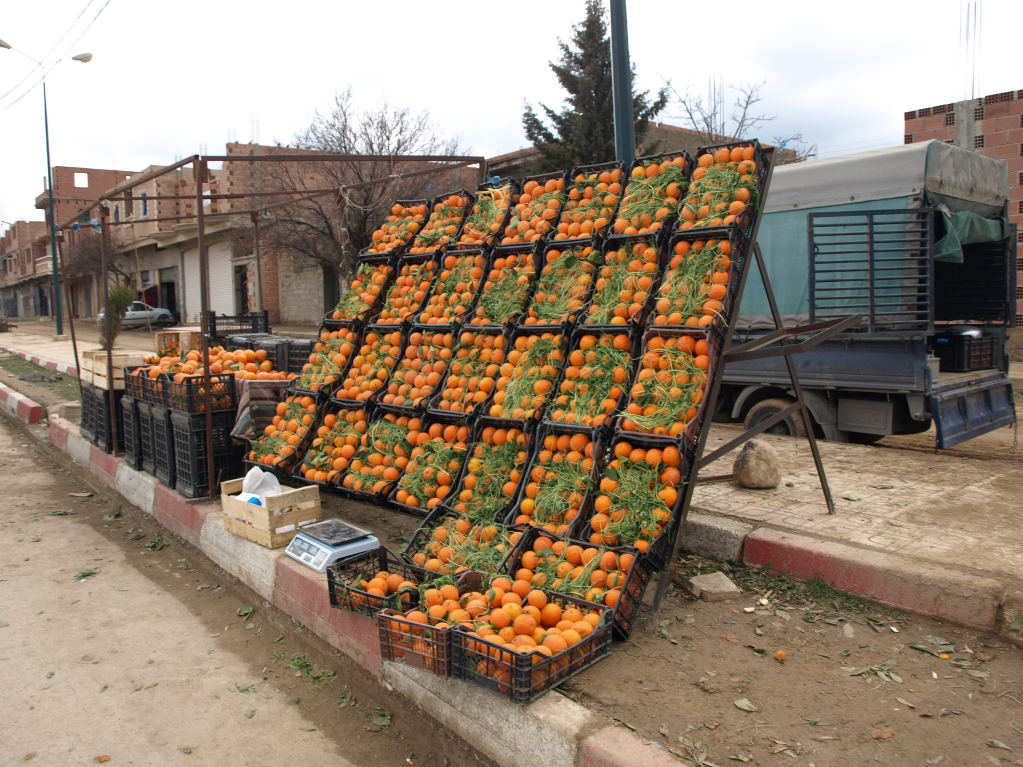 Olympus E-410 (EVOLT E-410) sample photo. Arance a batna (algeria) photography