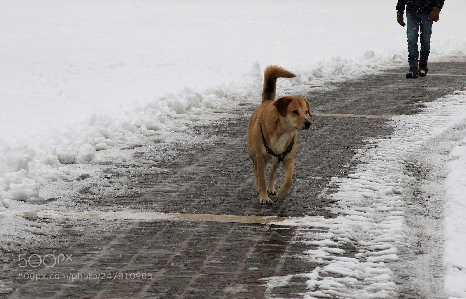 Canon EOS 7D Mark II sample photo. Exploring photography