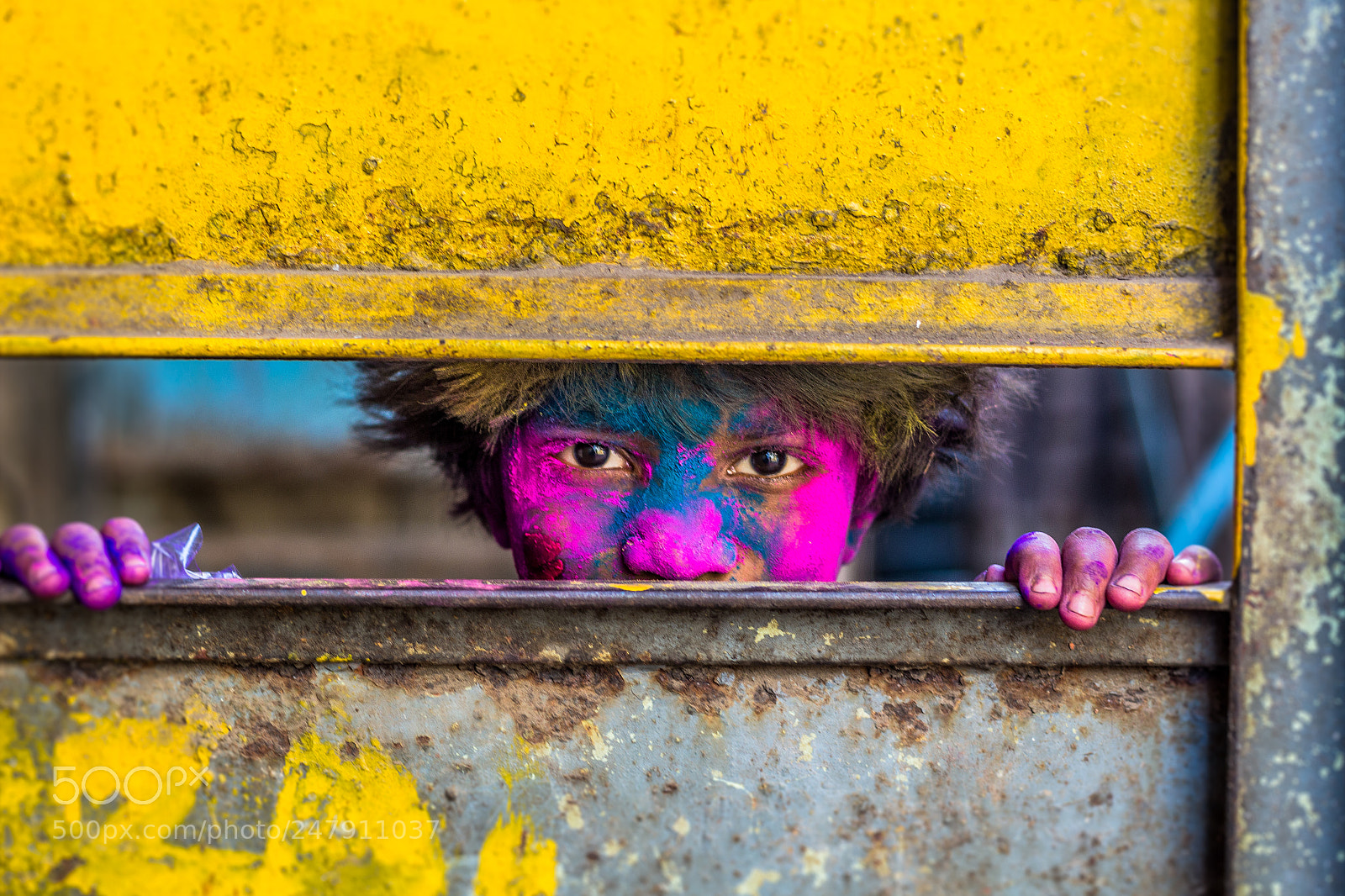 Canon EOS 550D (EOS Rebel T2i / EOS Kiss X4) sample photo. Holi... photography