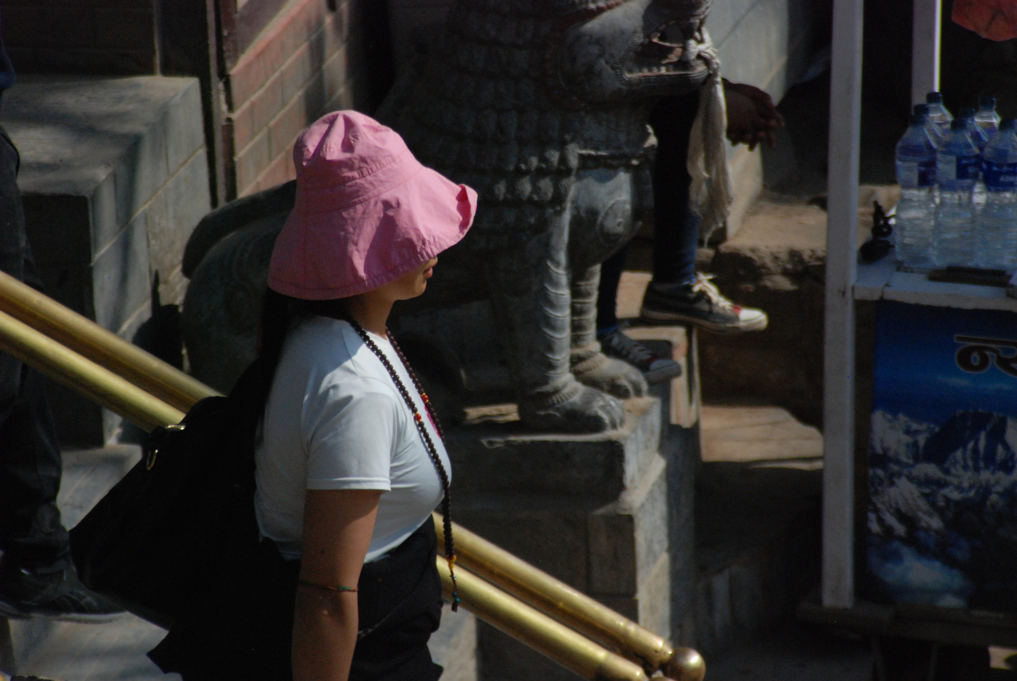 Nikon D80 sample photo. March in swayambhu photography