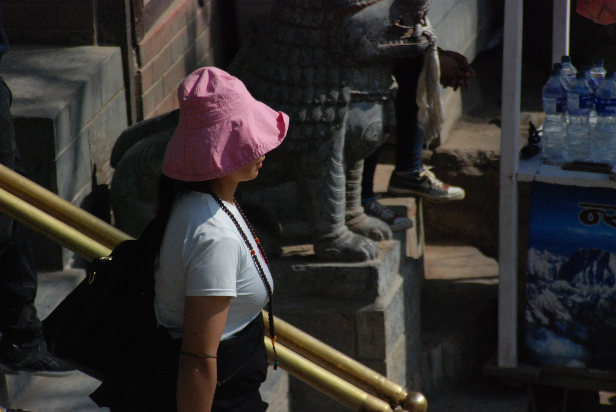 Nikon D80 + Tamron AF 28-200mm F3.8-5.6 XR Di Aspherical (IF) Macro sample photo. March in swayambhu photography