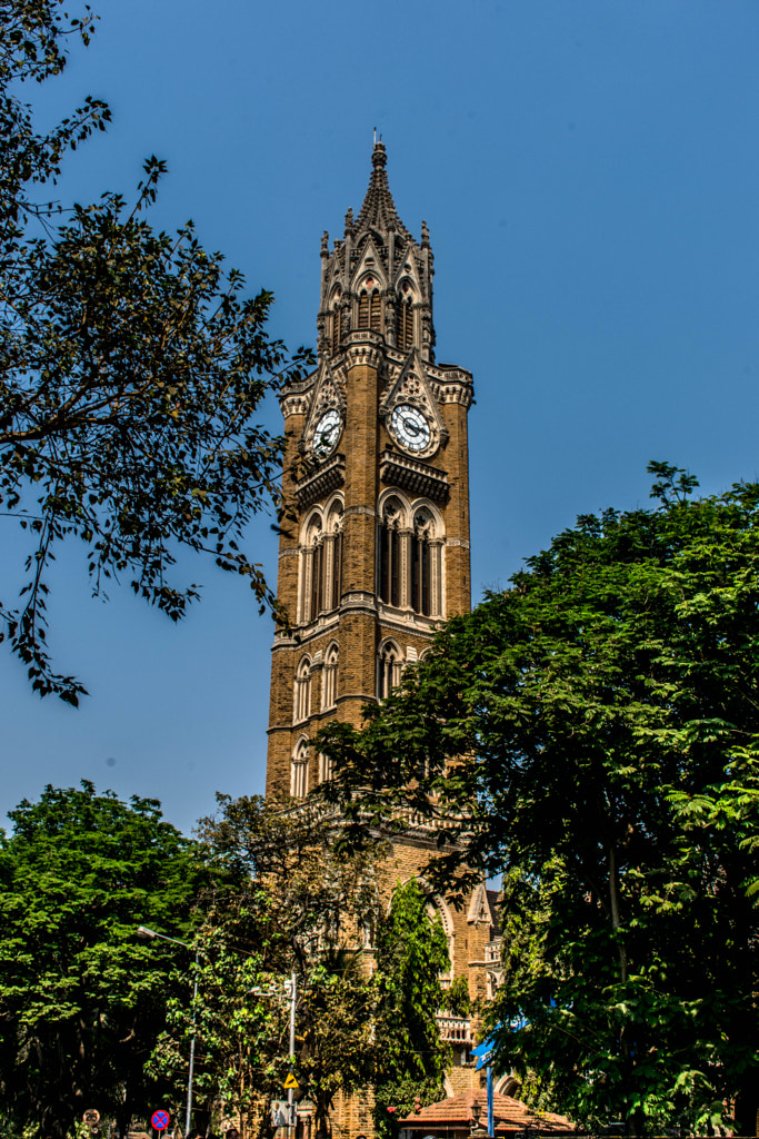 Rajabai tower, Mumbai University by Hariharan Venkatakrishnan on 500px.com