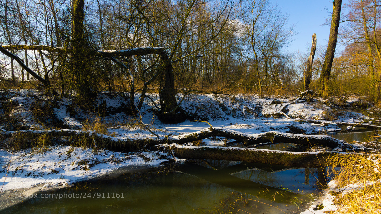 Sony SLT-A65 (SLT-A65V) sample photo. Untitled photography