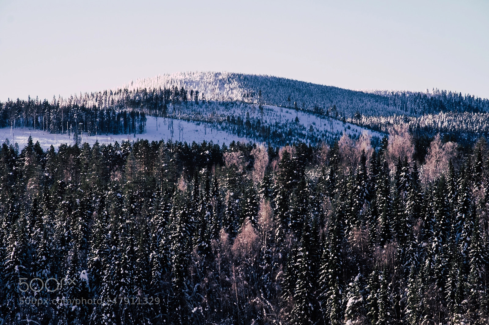 Fujifilm X-T1 sample photo. Storforsen photography