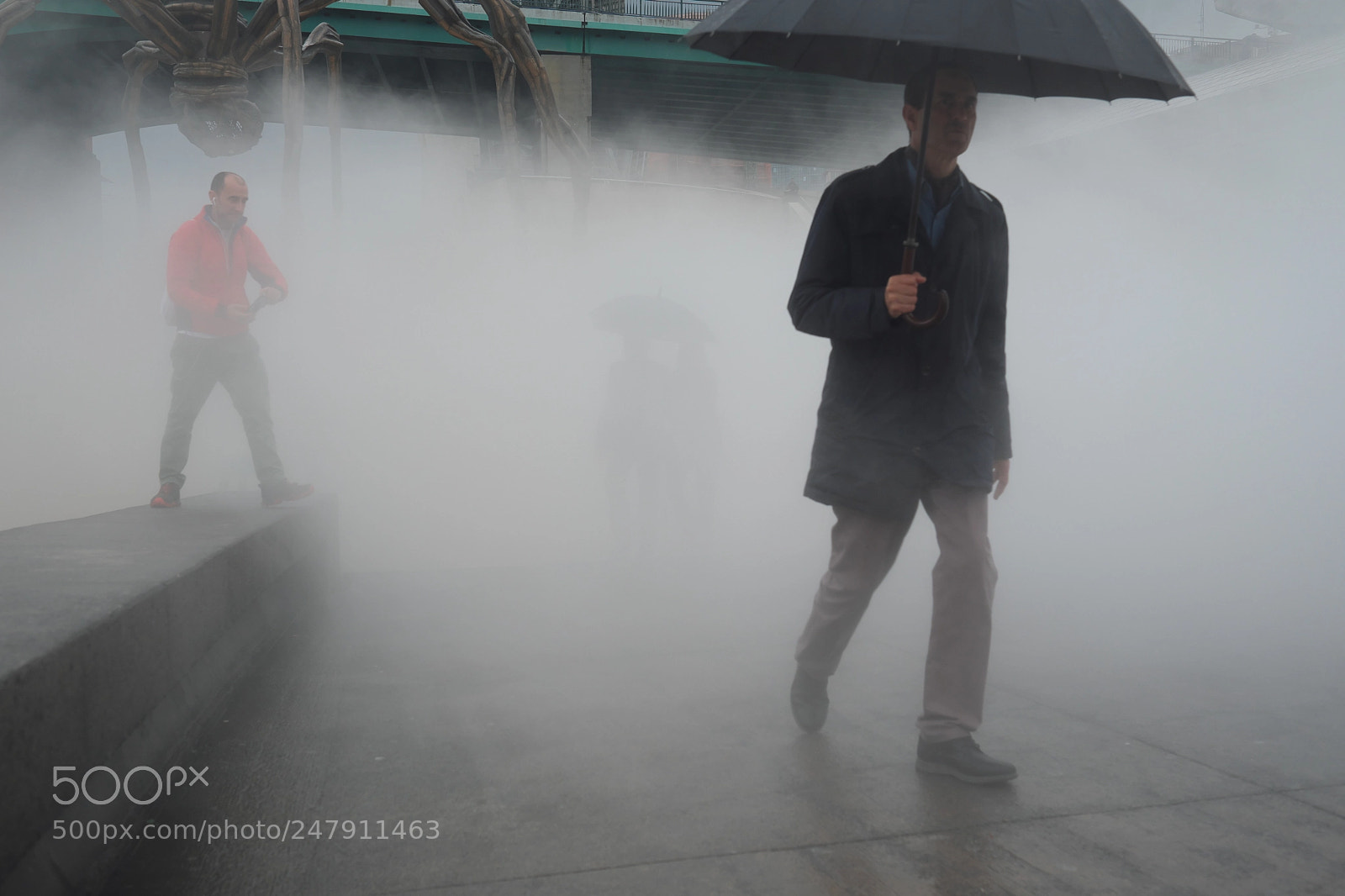 Fujifilm X-Pro2 sample photo. Nebbia photography