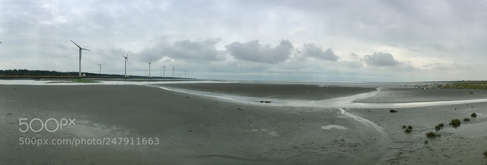 Apple iPhone 6s Plus sample photo. Wetland in taichung photography