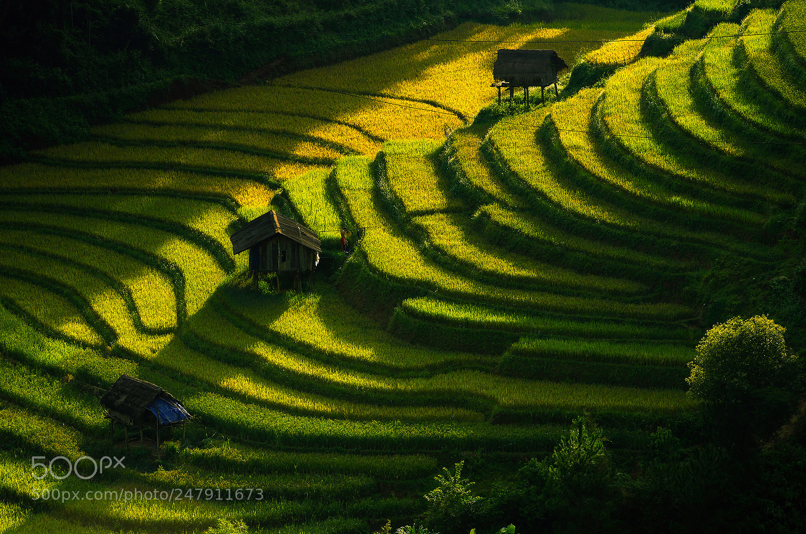 Pentax K-5 sample photo. Mu cang chai photography