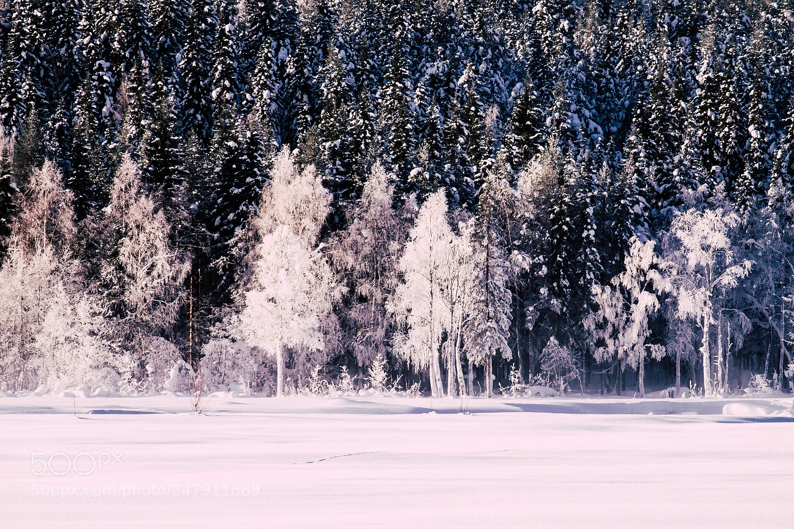 Fujifilm X-T1 sample photo. Storforsen photography