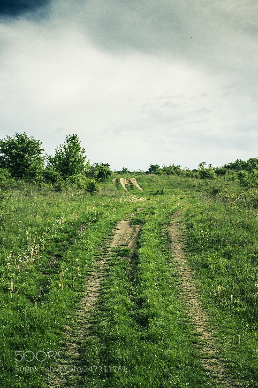 Canon EOS 60D sample photo. Highway to elysium photography