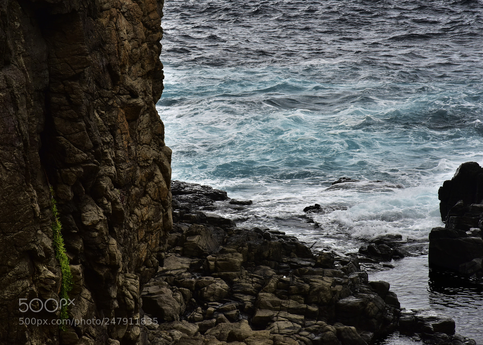 Nikon D810 sample photo. Headland water photography