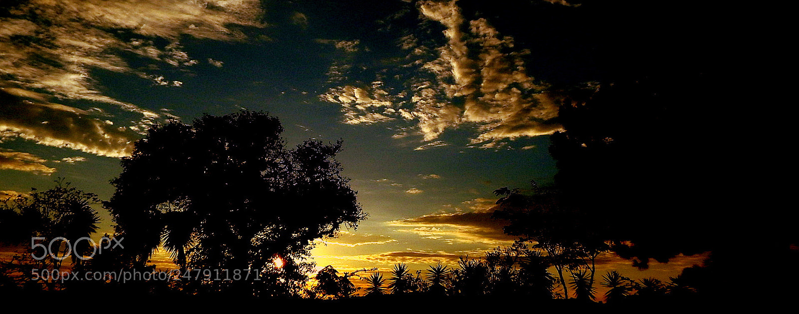 Fujifilm FinePix SL1000 sample photo. Colors in the morning .... photography