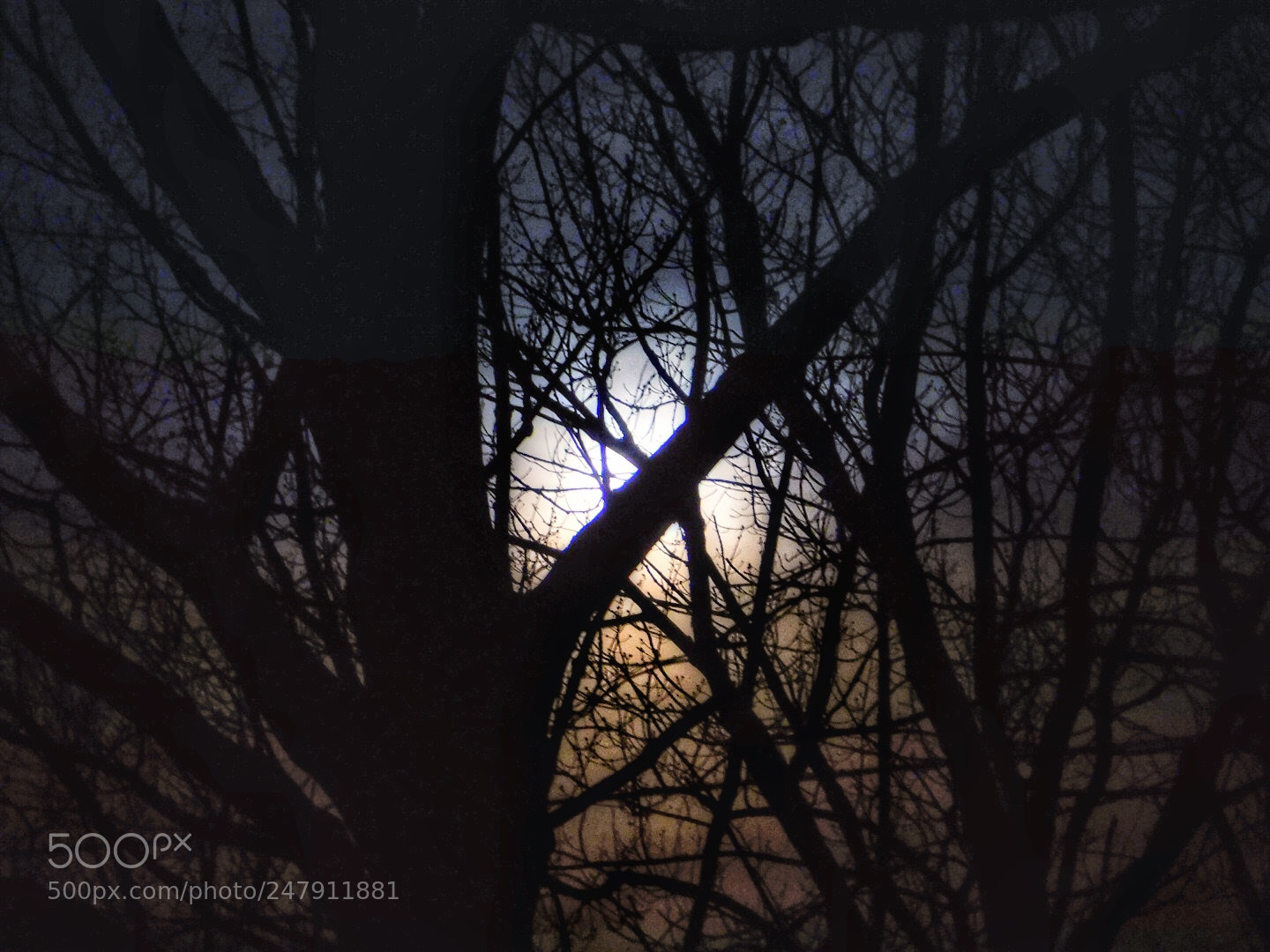 Nikon Coolpix B500 sample photo. Moon lit morning photography