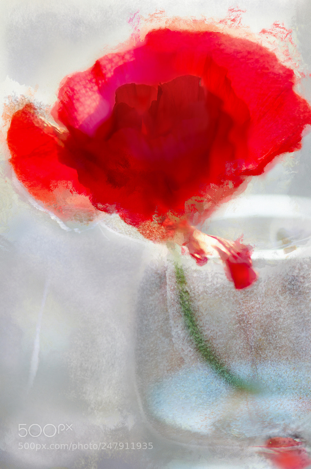 Nikon D90 sample photo. Frozen spring photography