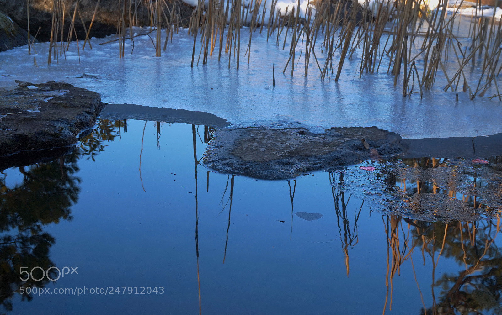Sony Alpha a5000 (ILCE 5000) sample photo. Winter land photography