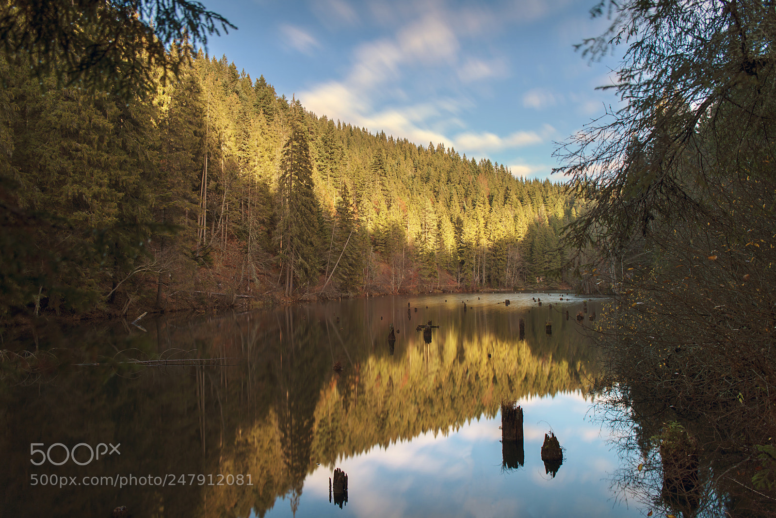 Nikon D800 sample photo. Red lake photography