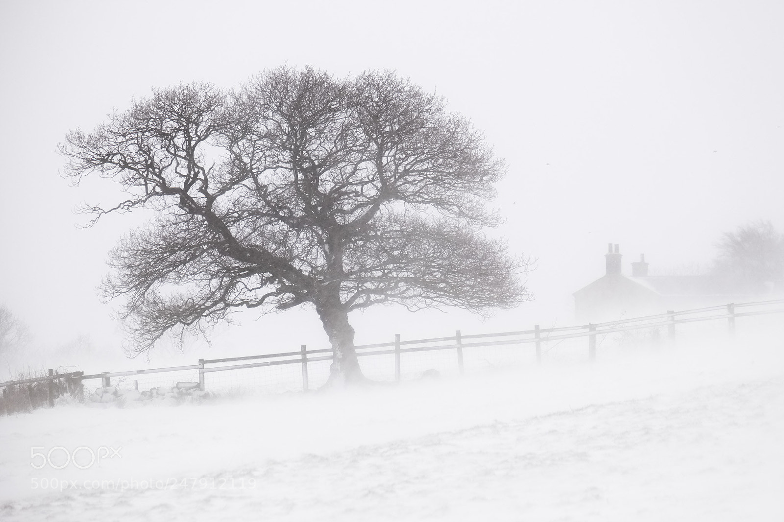 Fujifilm X-T1 sample photo. Cold and wind swept photography