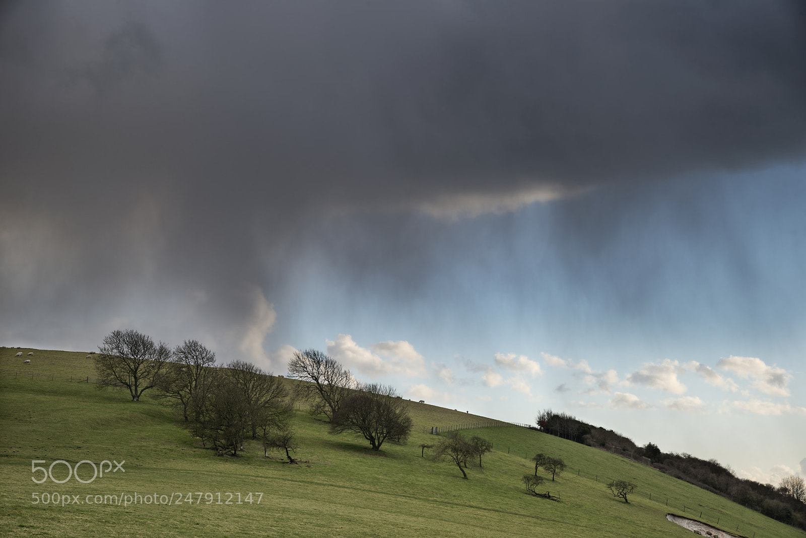 Nikon D800 sample photo. Beautiful stormy moody cloudy photography