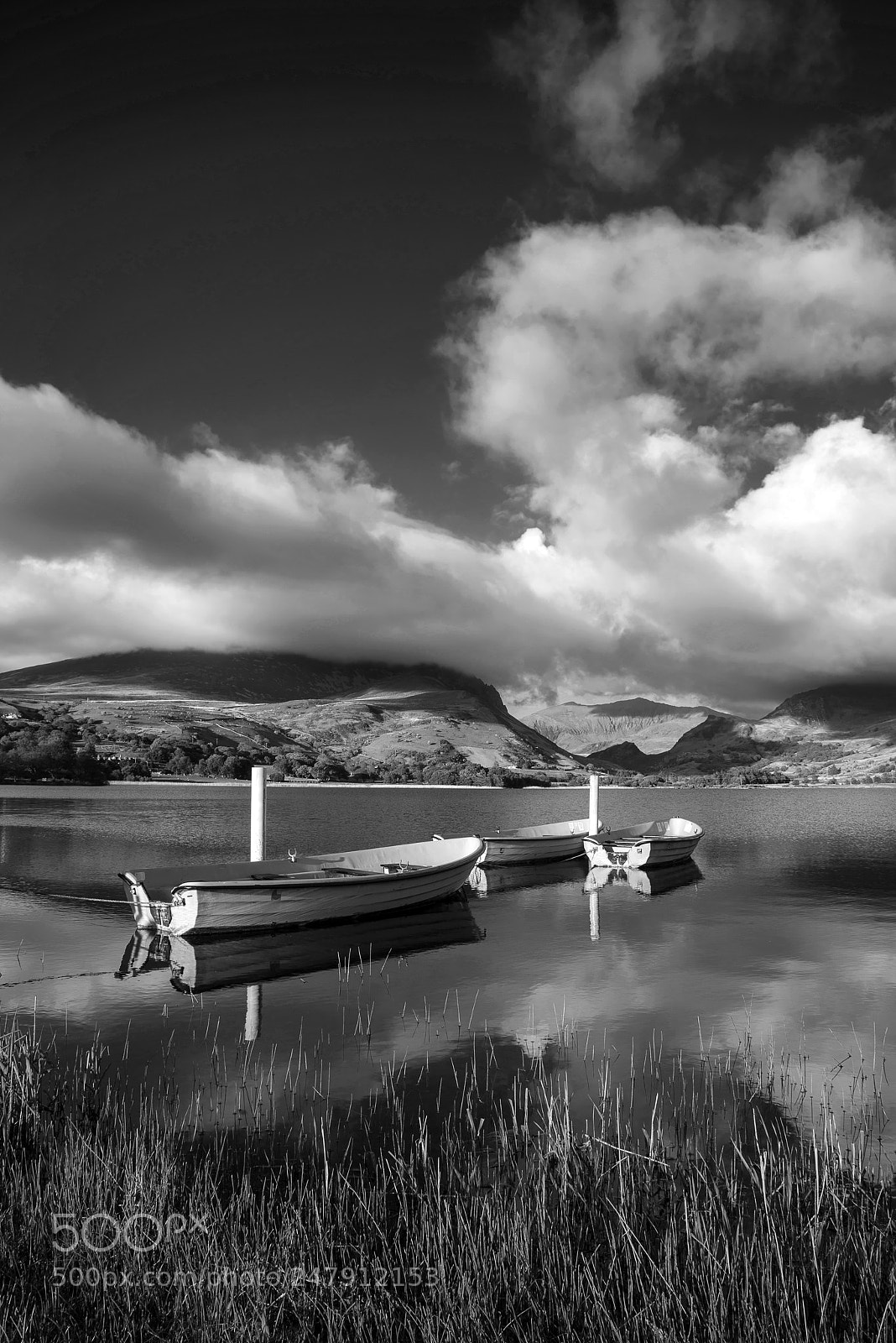 Nikon D800 sample photo. Black and white landscape photography
