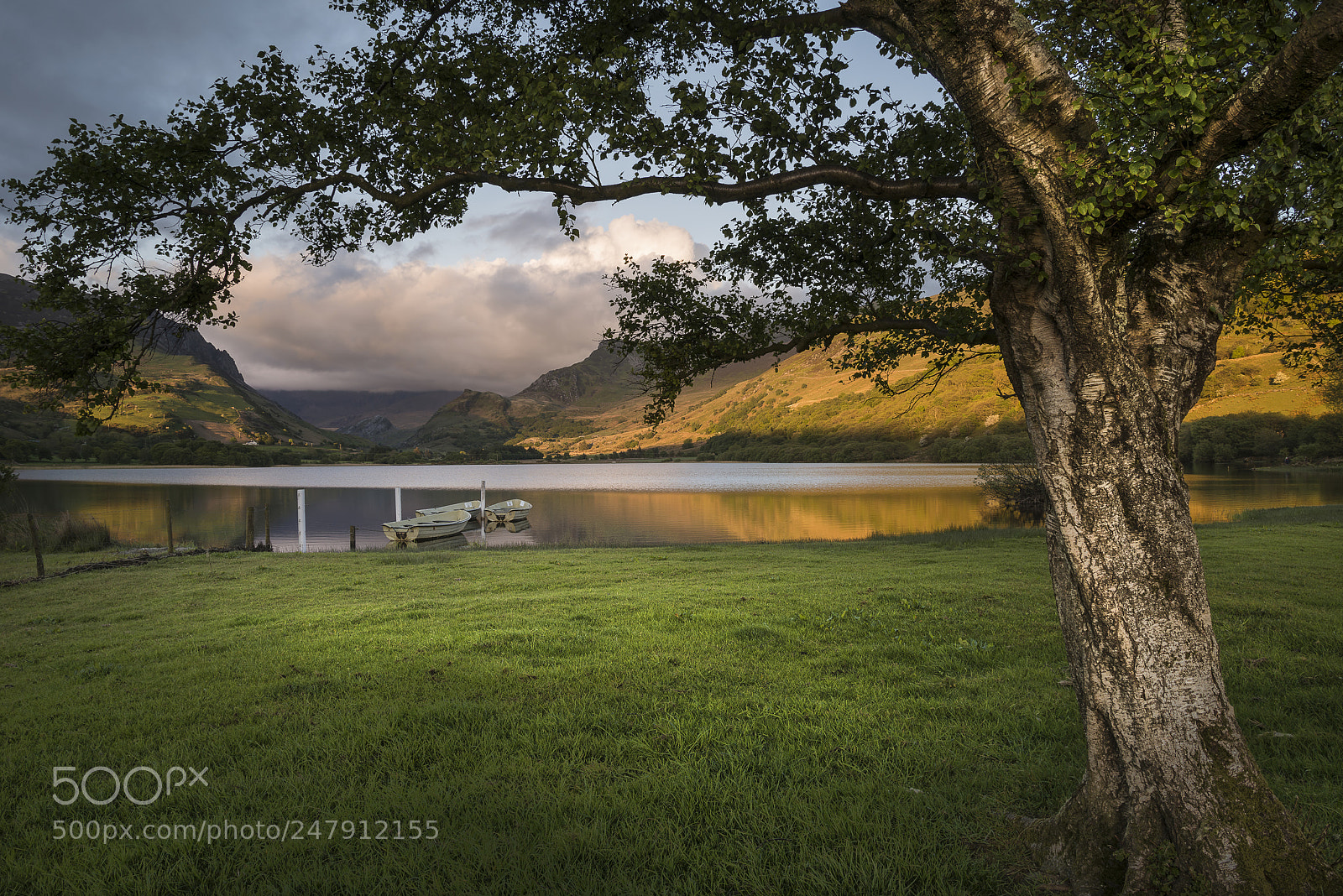 Nikon D800 sample photo. Landscape image of rowing photography