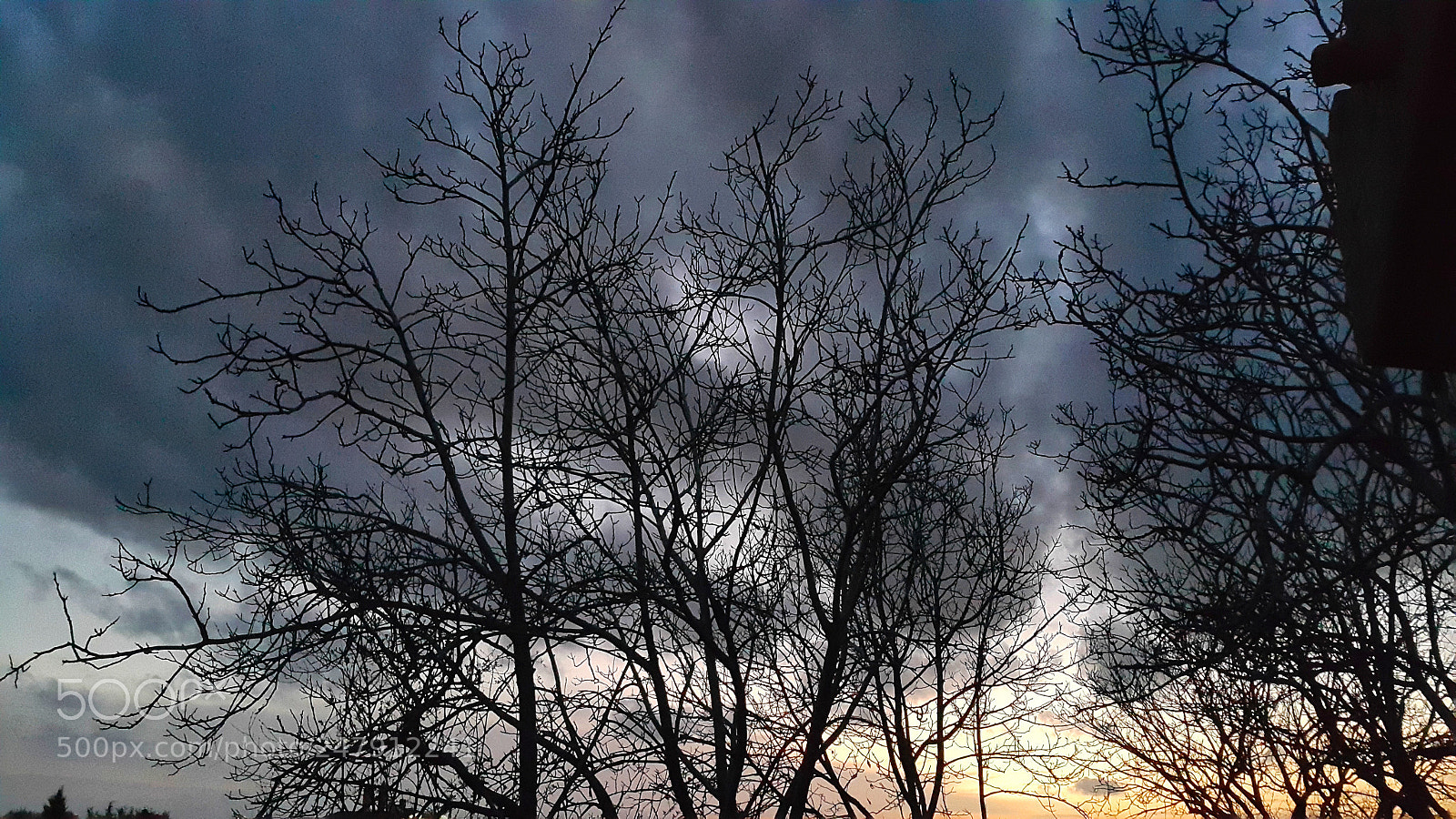 Samsung Galaxy Note4 sample photo. Evening whispers photography