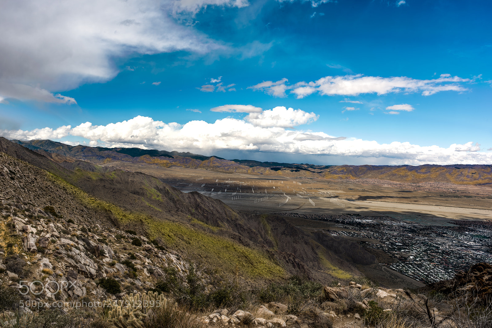Nikon D810 sample photo. High above the palms photography