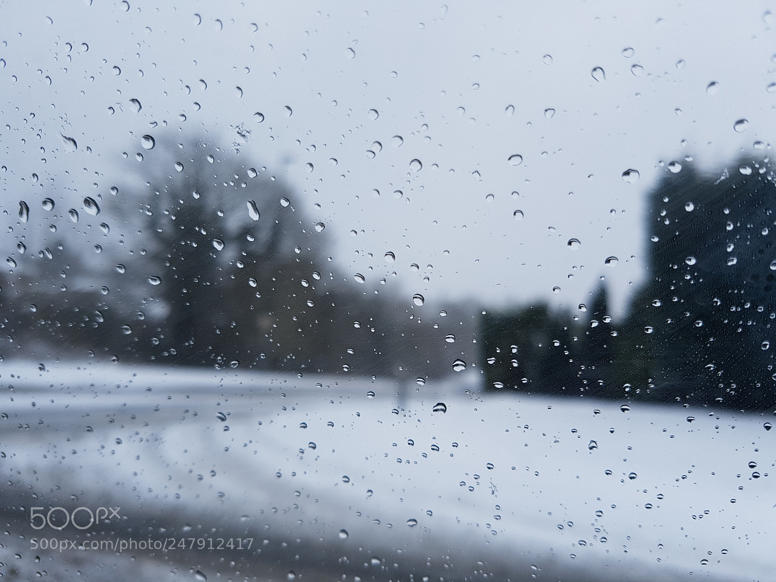 Samsung Galaxy S7 Edge sample photo. Snow dew photography