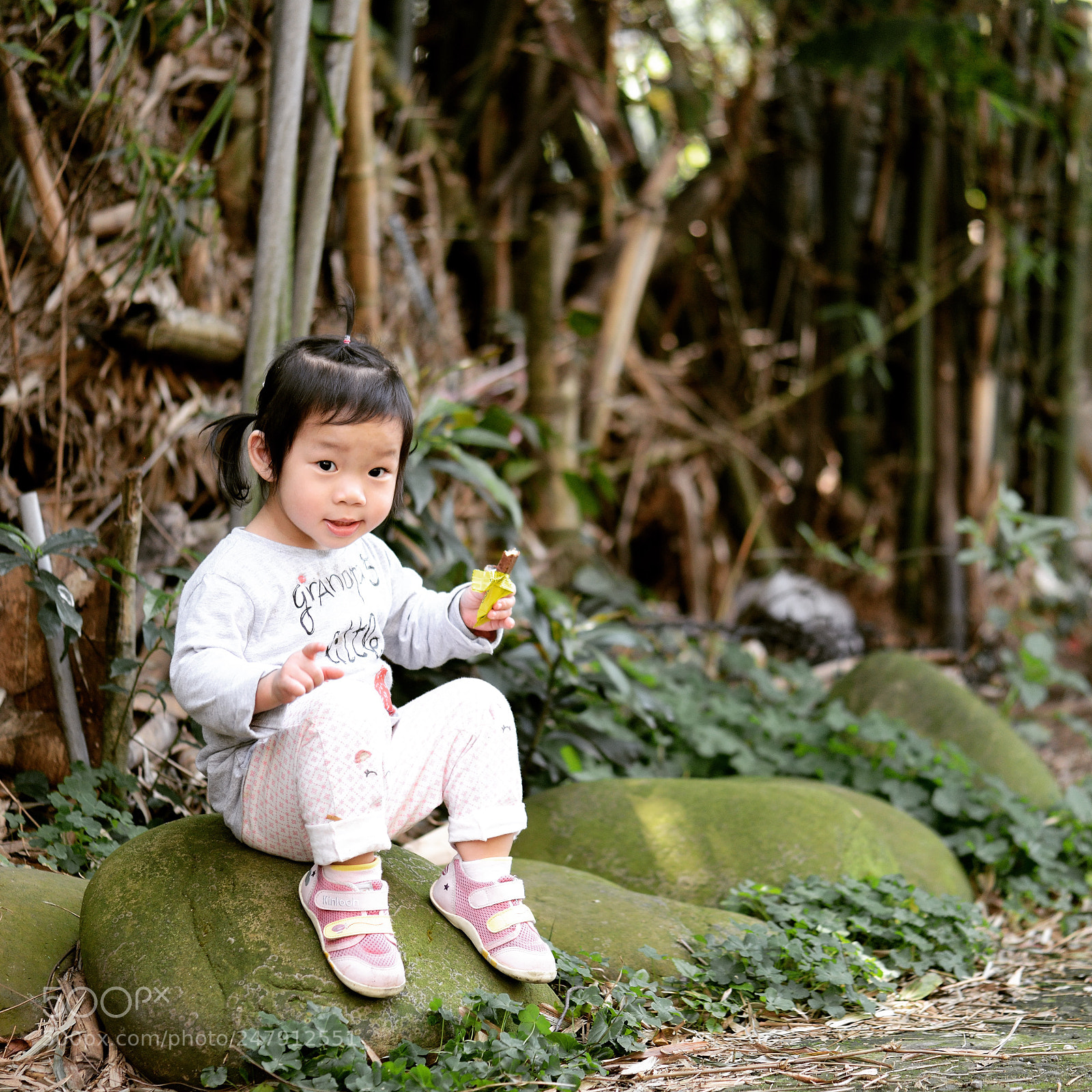 Nikon D800 sample photo. Untitled photography