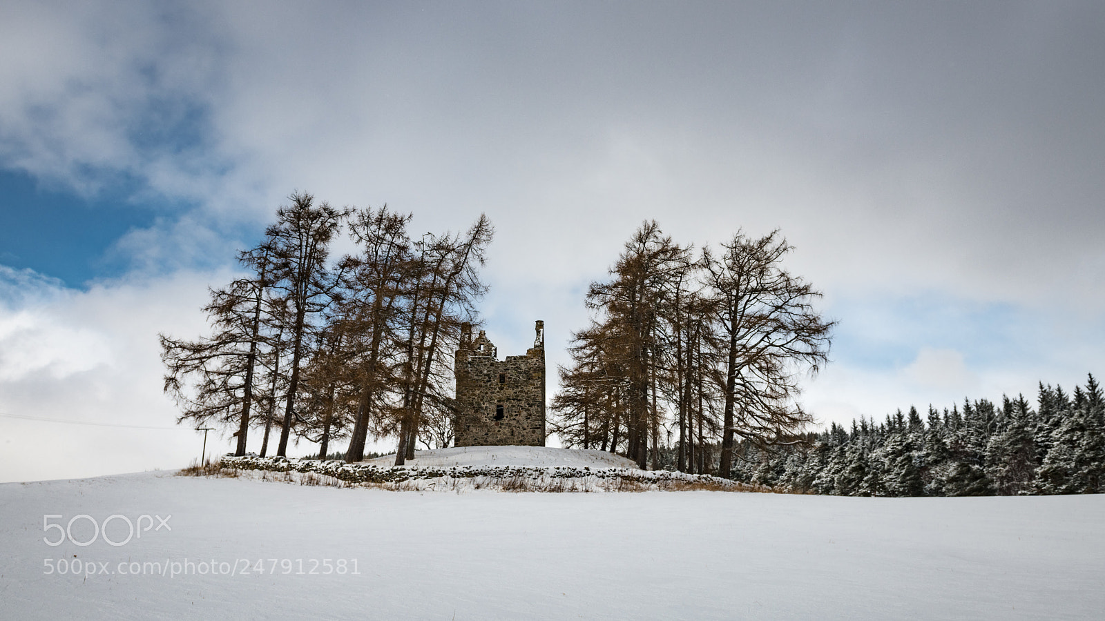 Nikon D850 sample photo. Knock castle near banchory photography