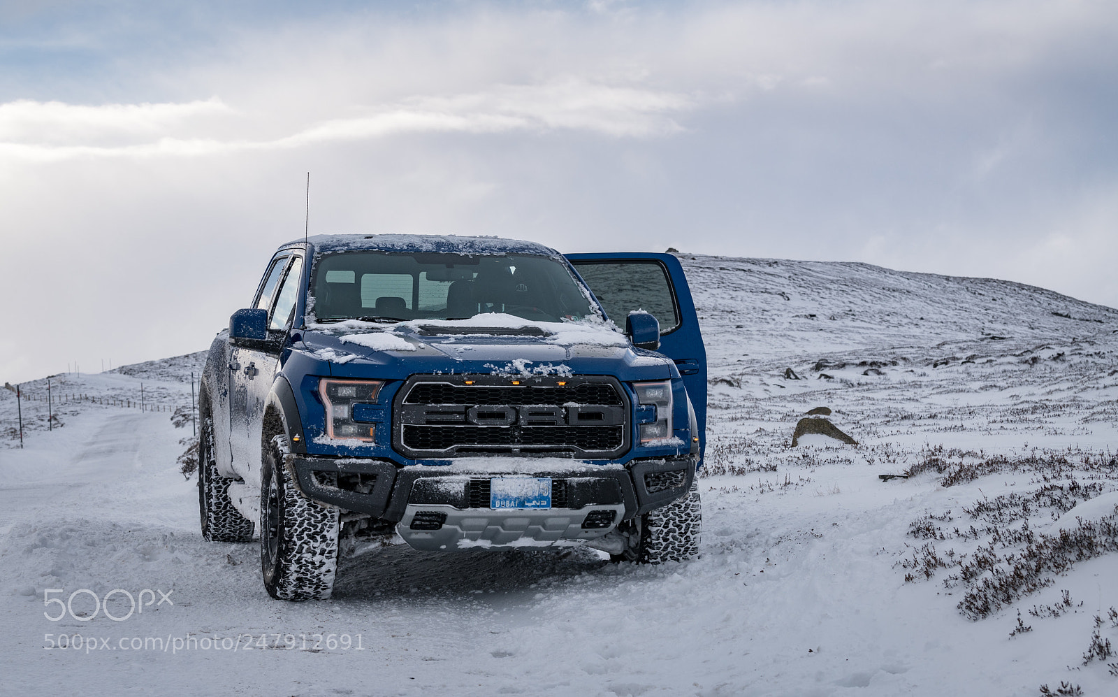 Nikon D850 sample photo. Raptor in the snow photography